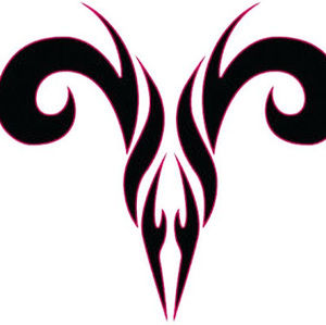 Meet your Posher, Latasha